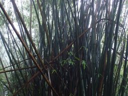 Spring Hiking 1011